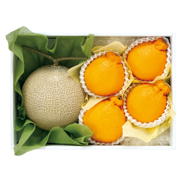 ct[c 啪Y fR|y͂ԁF11{`z